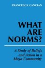 What Are Norms A Study of Beliefs and Action in a Maya Community