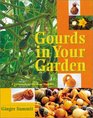 Gourds in Your Garden A Guidebook for the Home Gardener