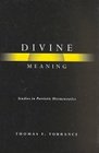 Divine Meaning Studies in Patristic Hermeneutics