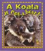 A Koala Is Not a Bear