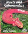 Newts and Salamanders Everything About Selection Care Nutrition Diseases Breeding and Behavior