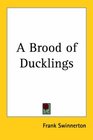 A Brood of Ducklings