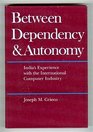 Between Dependency and Autonomy India's Experience With the International Computer Industry