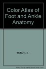 Color Atlas of Foot and Ankle Anatomy