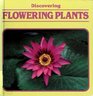 Discovering Flowering Plants