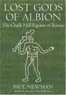 Lost Gods of Albion The Chalk Hill Figures of Britain