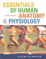 Essentials of Human Anatomy and Physiology AND Physioex 60