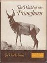 The World of the Pronghorn