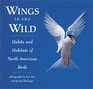 Wings in the Wild Habits and Habitats of North American Birds