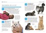 101 Essential Tips Cat Care Breaks Down the Subject into 101 EasytoGrasp Tips