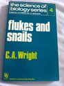 Flukes and snails