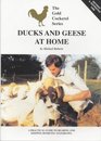 Ducks and Geese at Home (The Gold Cockerel Series)