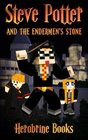 Steve Potter and the Endermen's Stone