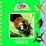 Sesame Subjects My First Book about Insects