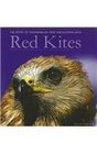 The Story of Tiggywinkles' First Encounters with Red Kites