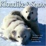 Klondike  Snow  The Denver Zoo's Remarkable Story of Raising Two Polar Bear Cubs