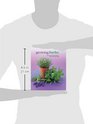 Growing Herbs A Directory Of Varieties And How To Cultivate Them Successfully