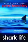 Shark Life  True Stories About Sharks  the Sea