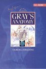 Grays Interactive Anatomy for Windows And Macintosh