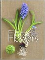 Food  Flowers