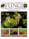 The Encyclopedia of Fungi of Britain and Europe Indentifies 1000 Species With Color Photographs