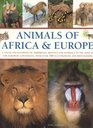 Animals of Africa and Europe A Visual Encyclopedia of Amphibians Reptiles and Mammals in the Asian and Australasian Continents with over 350 Illustrations and Photographs