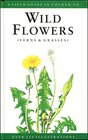 A Field Guide to Wild Flowers Ferns and Grasses