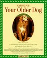 Caring for Your Older Dog