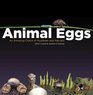 Animal Eggs An Amazing Clutch of Mysteries  Marvels