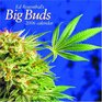 Ed Rosenthal's Big Buds 2006 Marijuana Calendar