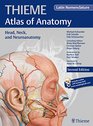 Head Neck and Neuroanatomy  Latin nomenclature