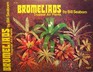 Bromeliads Tropical Air Plants