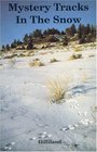 Mystery Tracks in the Snow A Guide to Animal Tracks