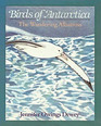 Birds of Antarctica The Wandering Albatross