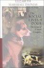 The Social Lives of Dogs The Grace of Canine Company