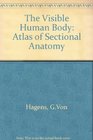 Visible Human Body An Atlas of Sectional Anatomy