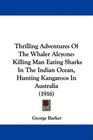 Thrilling Adventures Of The Whaler Alcyone Killing Man Eating Sharks In The Indian Ocean Hunting Kangaroos In Australia