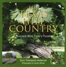 The Texas Hill Country A Food and Wine Lover's Paradise