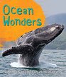 Fast Facts Ocean Wonders Come face to face with life in the ocean deep