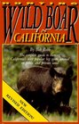 Hunting Wild Boar in California