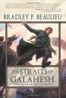 The Straits of Galahesh Book Two of The Lays of Anuskaya