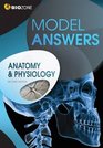 Anatomy  Physiology Model Answers
