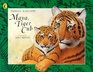 Maya Tiger Cub