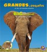 Grandes y pequenos/Big and Small Un libro de animales opuestos/An Animal Opposites Book