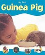 Guinea Pig