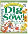 Dig and Sow How do plants grow Experiments in the Garden