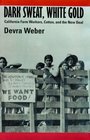 Dark Sweat White Gold California Farm Workers Cotton and the New Deal