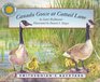 Canada Goose at Cattail Lane (Smithsonian's Backyard Collection)