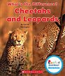 Cheetahs and Leopards (Rookie Read-About Science)