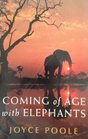 Coming of Age with Elephants  A Memoir